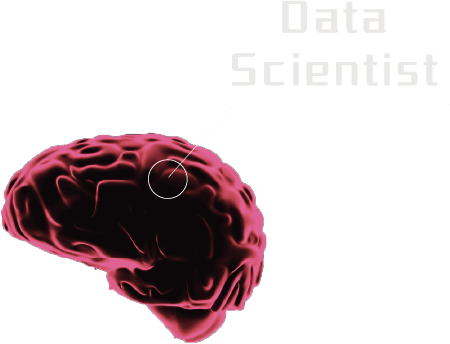 Data Siencetist